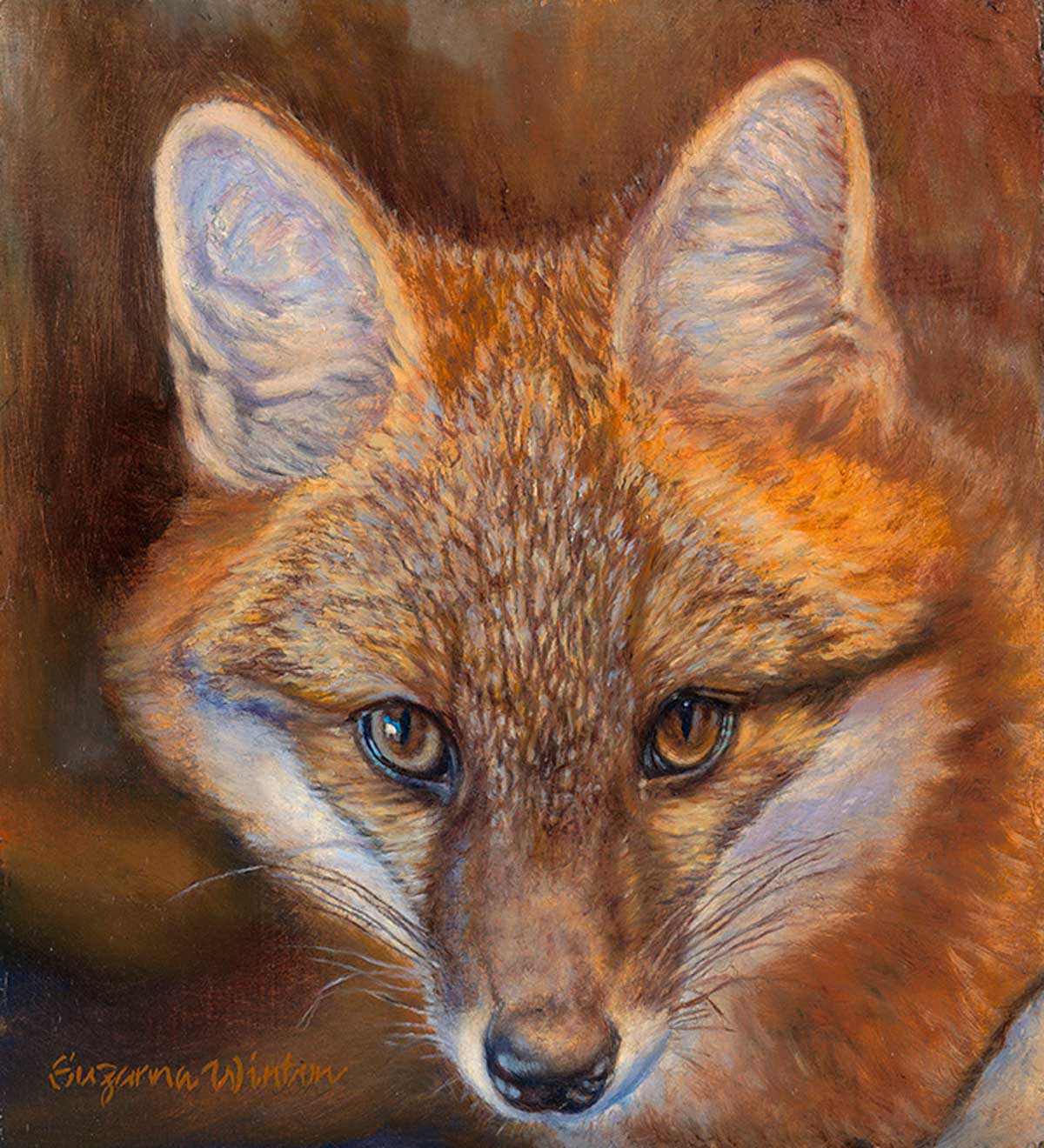 Fox Portrait