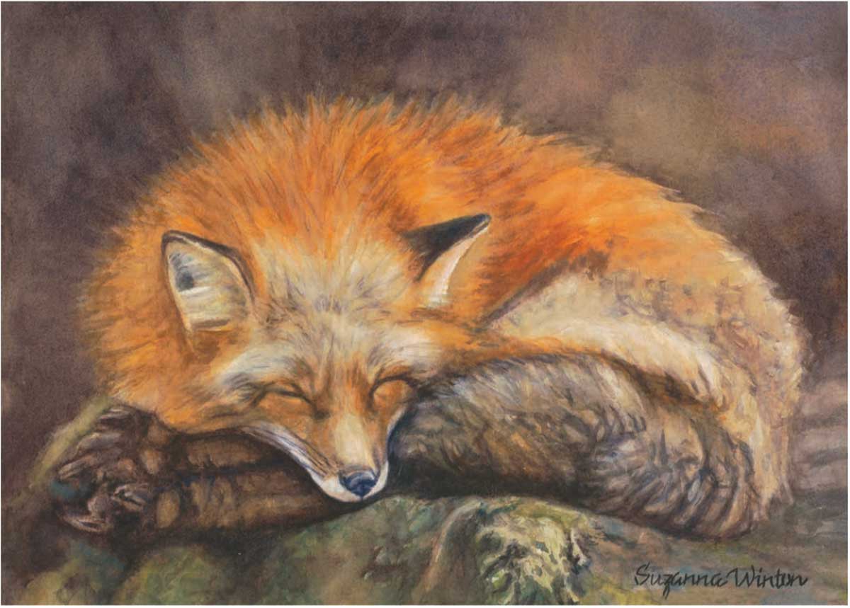 Fox Portrait