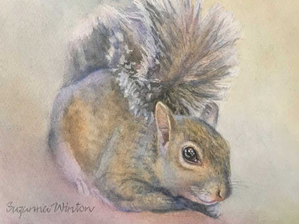 Squirrel Portrait